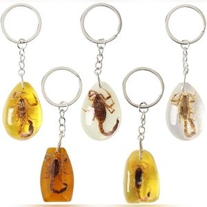 Scorpion Keychain Set in Resin/Handmade